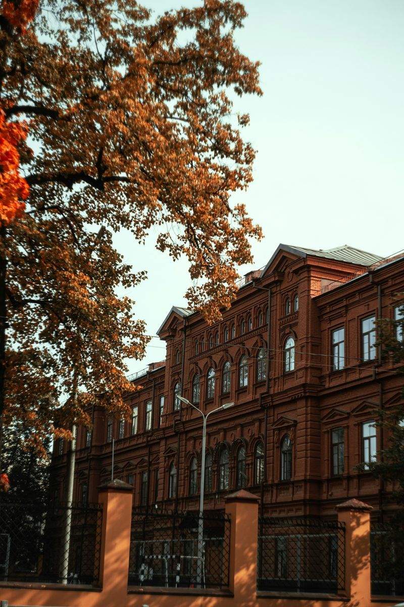 未来学園の新しい学習プログラム